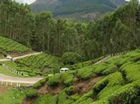 കേന്ദ്രസംഘം 9ന് മൂന്നാറിലെത്തും