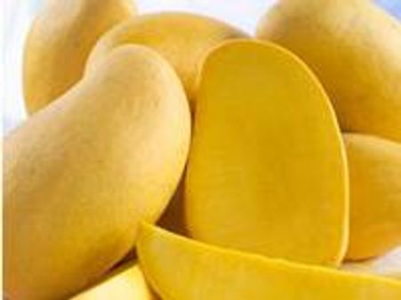 മാമ്പഴം വഴി റെയില്‍വേയ്ക്ക് 4.56കോടി