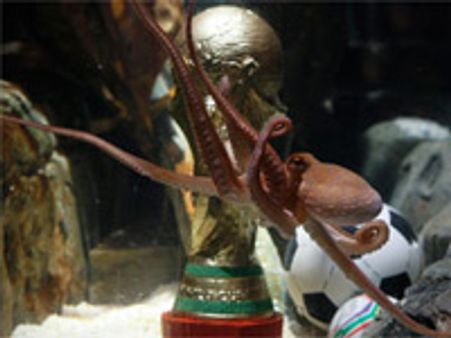 നീരാളിക്കും കിട്ടി കപ്പ്; പ്രവചനം നിര്‍ത്തുന്നു?