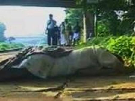 വ്യാജമദ്യ ദുരന്തം: മരണം ഒമ്പതായി