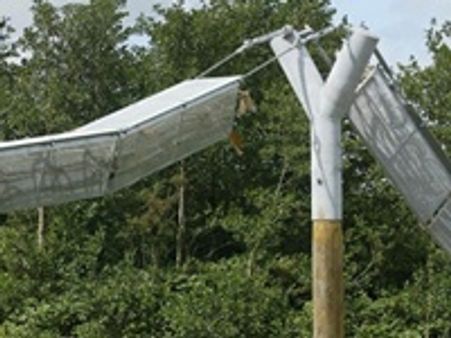 ബ്രിട്ടനില്‍ പെരുച്ചാഴികള്‍ക്കായി പാലം