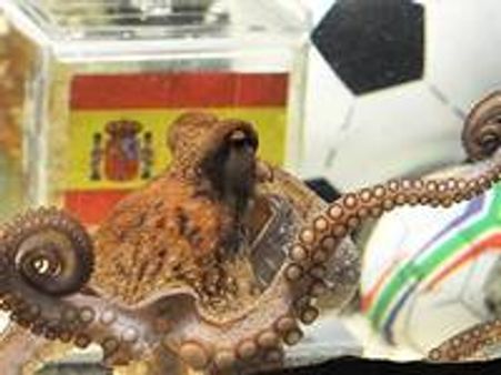 പ്രവചനങ്ങള്‍ ബാക്കിയാക്കി പോള്‍ നീരാളി വിടപറഞ്ഞു