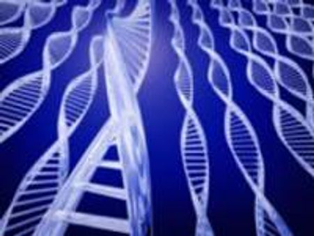 രാഷ്ട്രീയ ചായ്‍വ് തീരുമാനിക്കുന്നത് ജീനുകള്‍