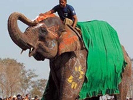ചഞ്ചല്‍ കാളി നേപ്പാളിലെ ആനസുന്ദരി!!