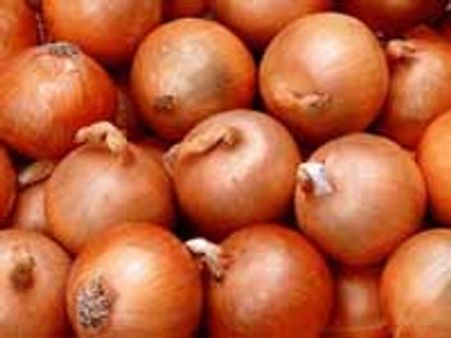 സവാള വില കുത്തനെ ഇടിഞ്ഞു