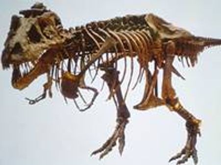 ഗുജറാത്തില്‍ ജുറാസിക് പാര്‍ക്ക് വരുന്നു