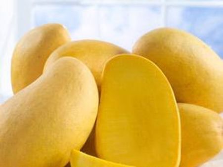 കോണ്‍ഗ്രസുകാര്‍ക്ക് ശാപ്പിടാം സോണിയ മാമ്പഴം