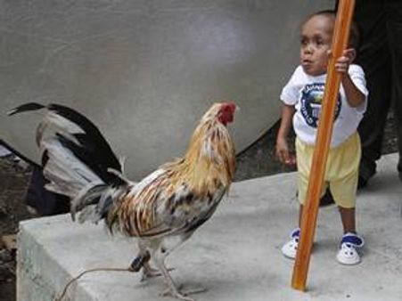 ഇനി കുഞ്ഞന്‍ ജുനെറി തന്നെ