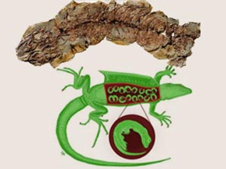 ആ പല്ലി ഗര്‍ഭിണിയായിരുന്നു!!