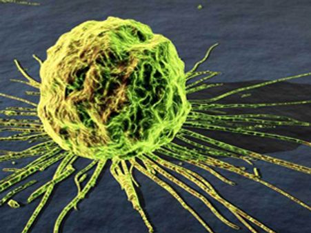 കാന്‍സറിന് പുതിയ മരുന്ന്