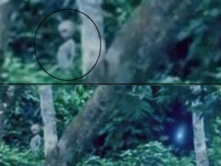 അന്യഗ്രഹ ജീവി വീഡിയോയില്‍ പതിഞ്ഞു