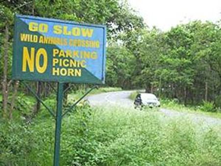 വനപാതയില്‍ രാത്രിയാത്ര: പ്രശ്‌നം രൂക്ഷമാകുന്നു