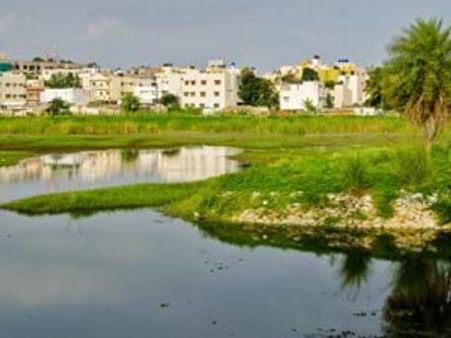 തടാക സംരക്ഷണത്തിന് സ്ത്രീകളുടെ കൂട്ടായ്മ