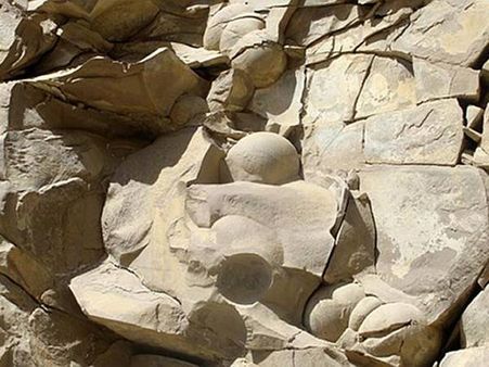 ഭീമന്‍ ദിനോസര്‍ മുട്ട കണ്ടെത്തി