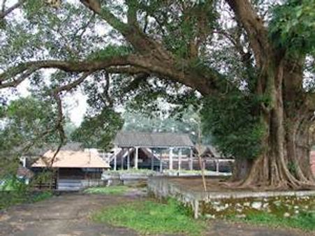 വില്വാദ്രിയില്‍ സമൂതിരിയുടെ നിധിയൊളിഞ്ഞിരിക്കുന്നു