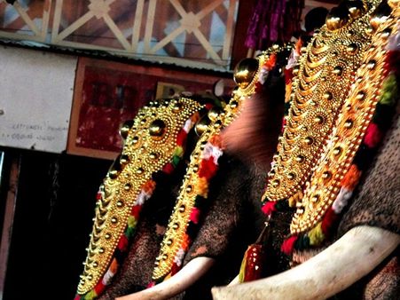 വോട്ടെണ്ണി, ആറാട്ടുപുണ്ടന്മാര്‍ തലപൊക്കി