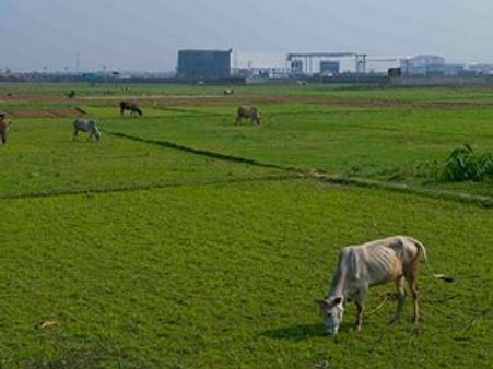 മമതയ്ക്ക് തിരിച്ചടി; സിംഗൂര്‍ ഭൂമി ടാറ്റയ്ക്ക്