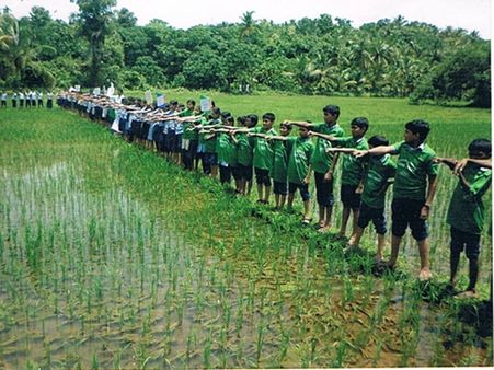 വയലേലകളെ കാക്കാന്‍ കുട്ടികളുടെ ഹരിതസേന