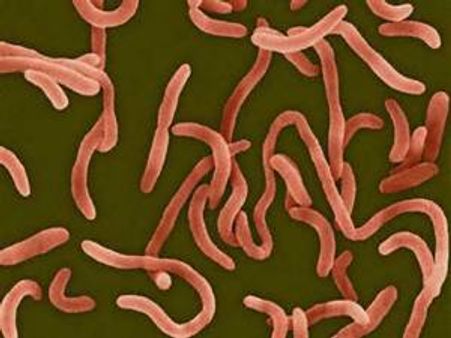 തിരുവനന്തപുരം ജില്ലയില്‍ കോളറ