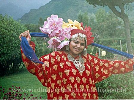 സിന്ധുജോയിയ്ക്ക് അടിതെറ്റിയതെങ്ങനെ?