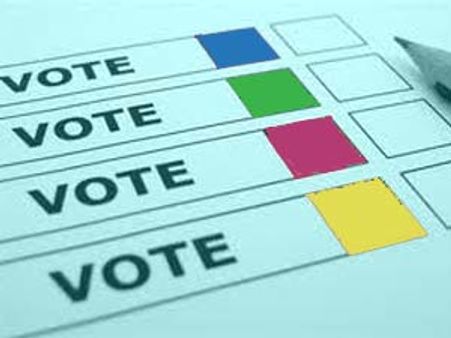 പ്രവാസികള്‍ക്ക്‌ വോട്ടവകാശം നല്‍കാന്‍ തീരുമാനം