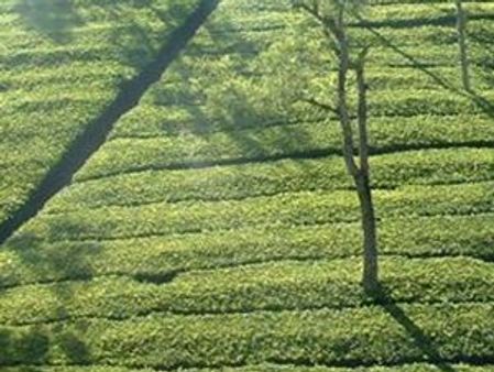 ഇന്ത്യാ-പാക് സംഘര്‍ഷം, നീലഗിരിയില്‍ ആശങ്ക