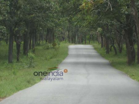 മലബാറുകാര്‍ക്ക് ആശ്വാസമായി ബദല്‍പാത നവീകരണം