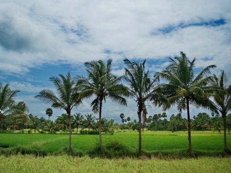 കാര്‍ഷികമേഖലയുടെ തകര്‍ച്ചയില്‍ മാധ്യമങ്ങളുടെ പങ്ക്
