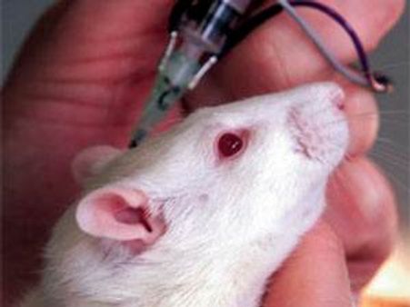 ഇന്ത്യയില്‍ മരുന്ന് പരീക്ഷണം കൊന്നത് 80 പേരെ