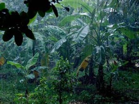 കാലവര്‍ഷം ഇത്തവണ നേരത്തെ തന്നെ