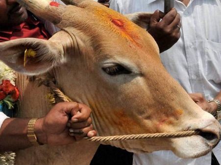 പശുവിനെ വാങ്ങാനും ഓണ്‍ലൈന്‍!