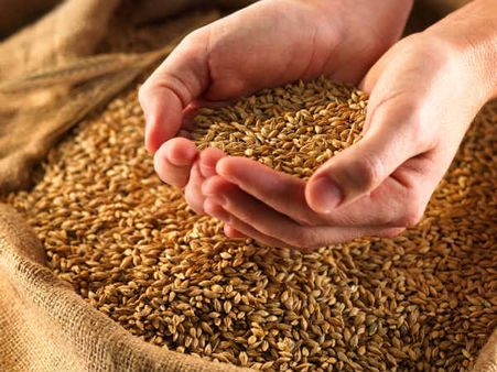 ഭക്ഷ്യ സുരക്ഷ പദ്ധതി രാജ്യത്തിന് ബാധ്യത