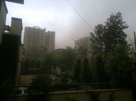 പ്രശ്‌നം പോത്ത് വണ്ടി, ഹൈവേ സ്തംഭിച്ചു