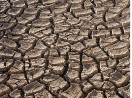 കേരളം; ഭൂഗര്‍ഭജലനിരപ്പ് കുറയുന്നു