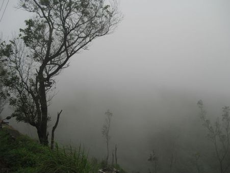 പൊന്‍മുടിയിലെ കോടമഞ്ഞ്