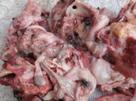 'സുനാമി ഇറച്ചി':മുന്‍കൂര്‍ ജാമ്യാപേക്ഷ തള്ളി