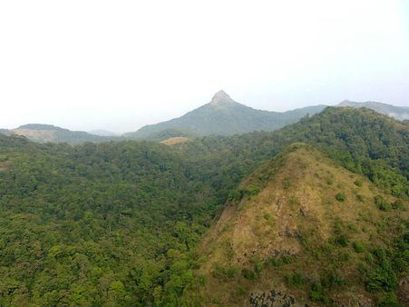 പശ്ചിമഘട്ടം:വിദഗ്ധ സമിതിക്ക് ശുപാര്‍ശ