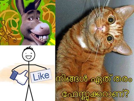 ഒന്നല്ല, ഫേസ്ബുക്ക് യൂസേഴ്‌സ് 17 തരം!