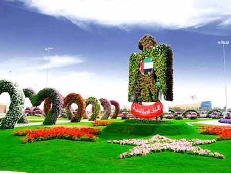 ദുബായ് മിറാക്കിള്‍ ഗാര്‍ഡന്‍ കാഴ്ചകള്‍