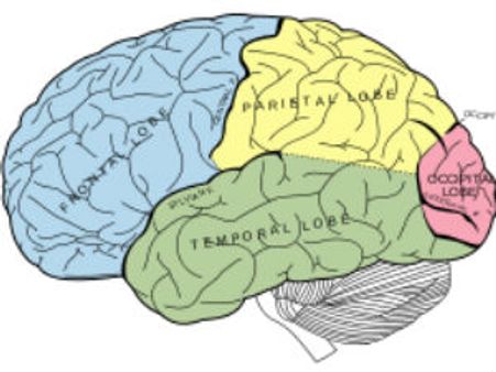 ആണിന്‍റെ തലയല്ല പെണ്ണിന്‍റേത്