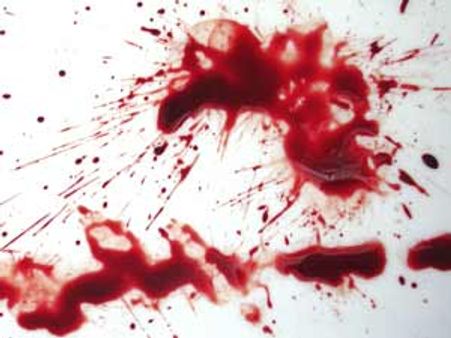 കാസര്‍കോട് ഒന്നരവയസ്സുകാരിയെ ബലിനല്‍കി?