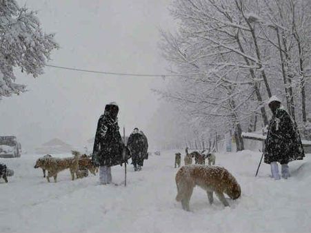കശ്മീരില്‍ മഞ്ഞുപെയ്യുന്നു
