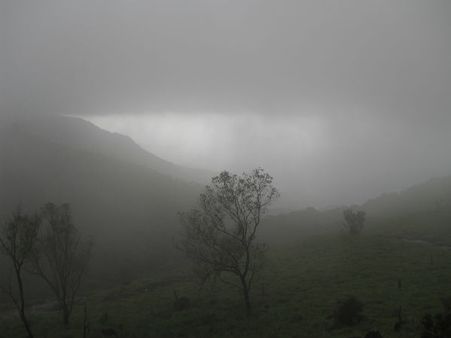 പൊന്മുടിയില്‍ വന്‍ തീപ്പിടിത്തം