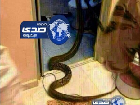 സൗദി;ടോയ്ലറ്റിനുള്ളില്‍ അനാക്കൊണ്ട