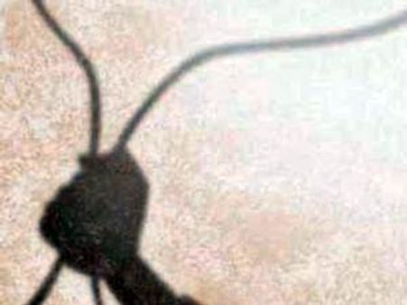 അനാശാസ്യം നഴ്സുമാര്‍ക്ക് ചാട്ടയടി