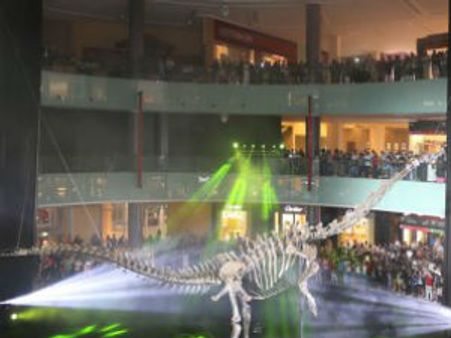 ദുബായ്, ദിനോസറിന്‍റെ ഫോസില്‍ വിസ്മയമാകുന്നു