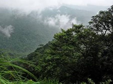 കസ്തൂരി രംഗനില്‍ കരട് വിജ്ഞാപനം