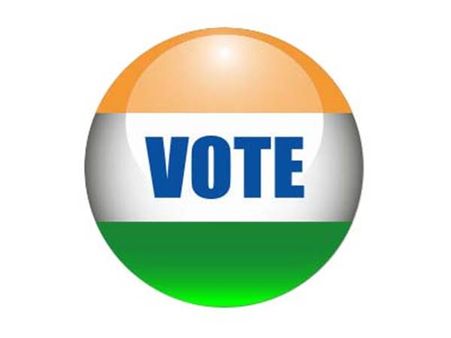 സ്ഥാനാര്‍ഥി 'ആം ആദ്മി'; പ്രകടനം പോത്തിന്റെ പുറത്ത്