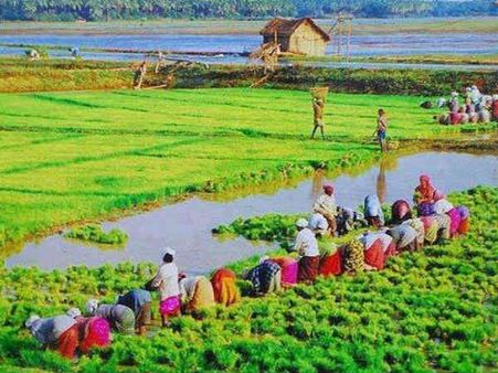 കൃഷിയുടെ കറന്‍റ് ചാര്‍ജ്ജ് വകുപ്പ് അടയ്ക്കും