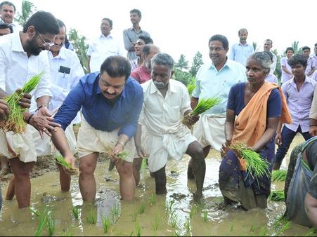 ആക്ഷനും കട്ടുമില്ല സുരേഷ് ഗോപി ഞാറ് നട്ടു 